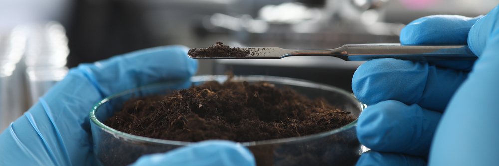 Gloved hands measuring a soil sample in a laboratory dish
