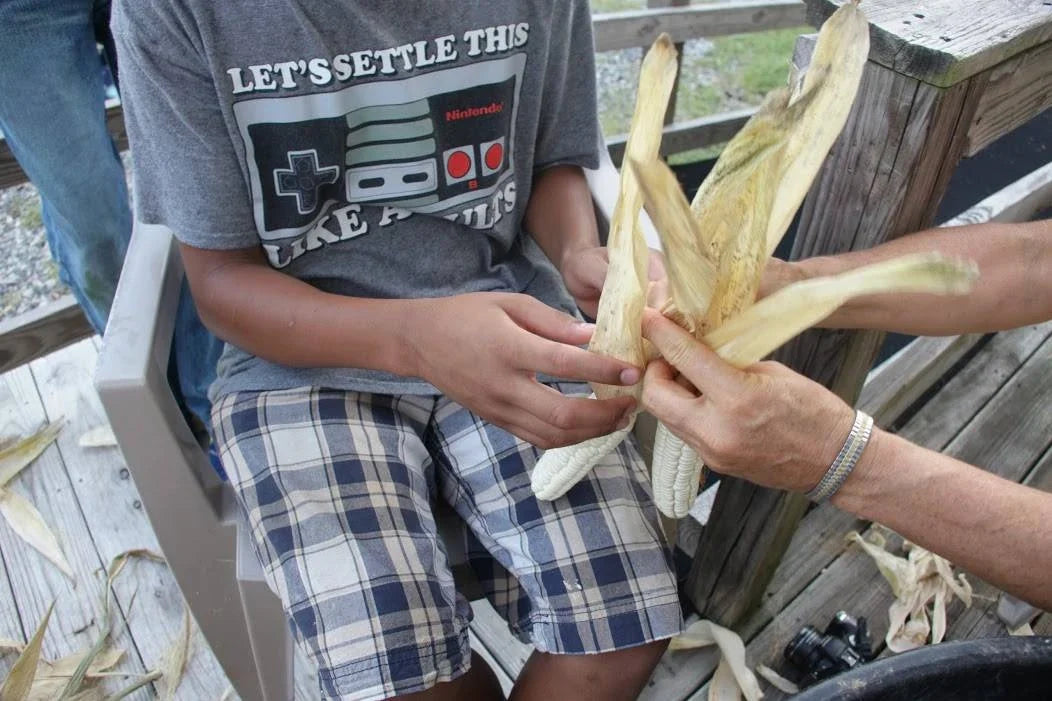 A young person learning how to braid white corn by the husks for drying and storage