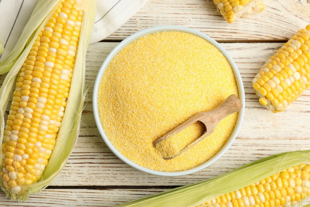 Bowl of yellow cornmeal surrounded by fresh corn ears