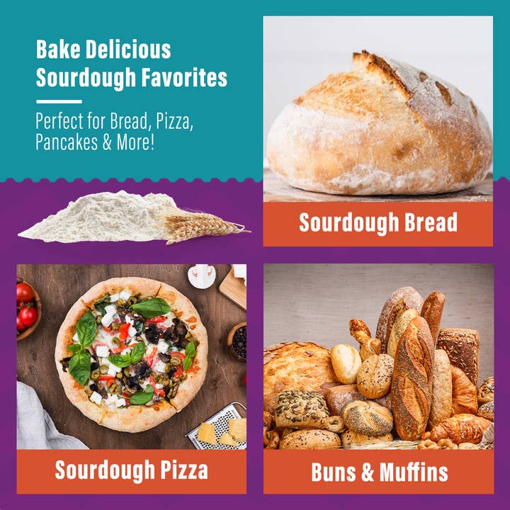 Organic, Non-GMO Sourdough Starter | Freeze Dried | 12gm