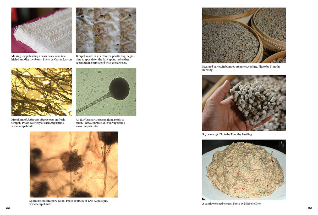 Microcosm Publishing & Distribution - Art of Fermentation: An In-Depth Exploration