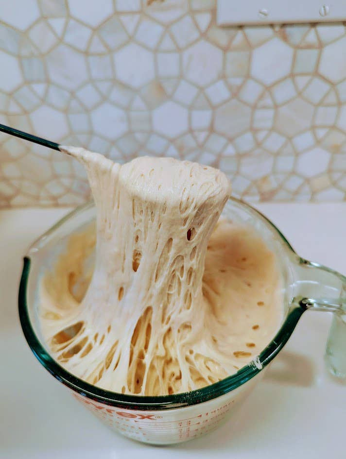 Organic, Non-GMO Sourdough Starter | Freeze Dried | 12gm