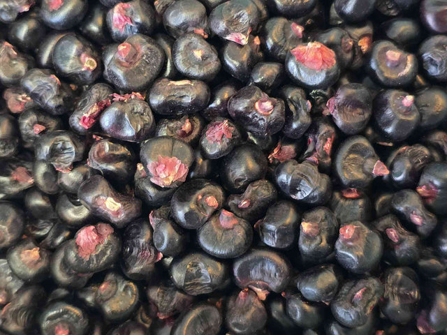 Montana Morado corn seeds and maize flour showcasing vibrant purple corn perfect for nutritious cooking