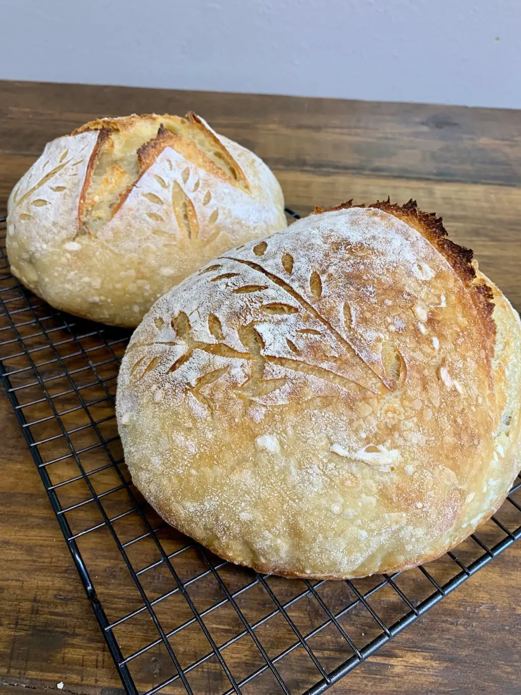 Organic, Non-GMO Sourdough Starter | Freeze Dried | 12gm