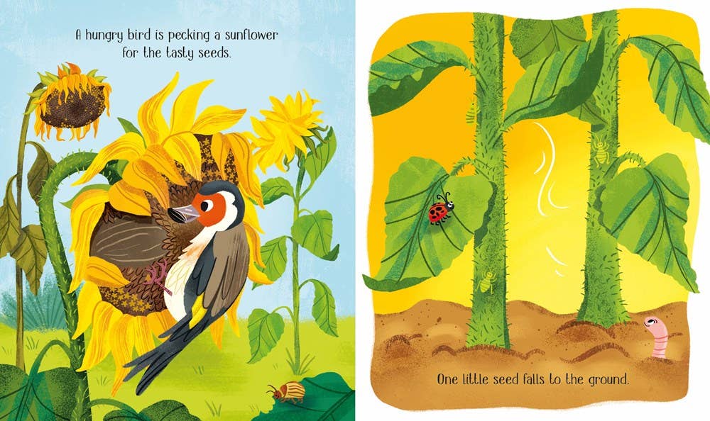 One Little Seed board book : Usborne