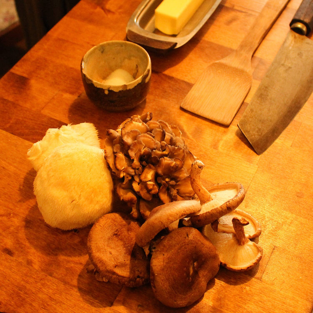 Mushroom Growing Kit