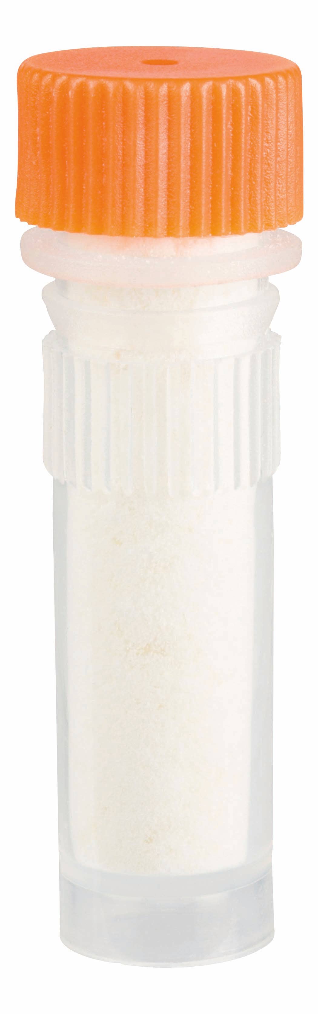 Beetle & Bee Bird Call - Certified, Outdoor Play