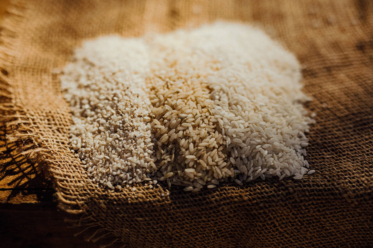 Carolina Gold Heirloom Rice - 2lb