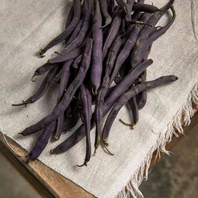 Purple Queen Bean Seeds