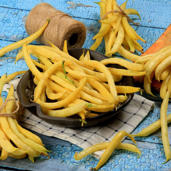Topnotch Yellow Bean Seeds