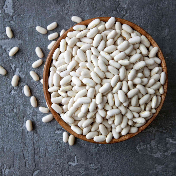 Tuscan Cannellini Bean Seeds