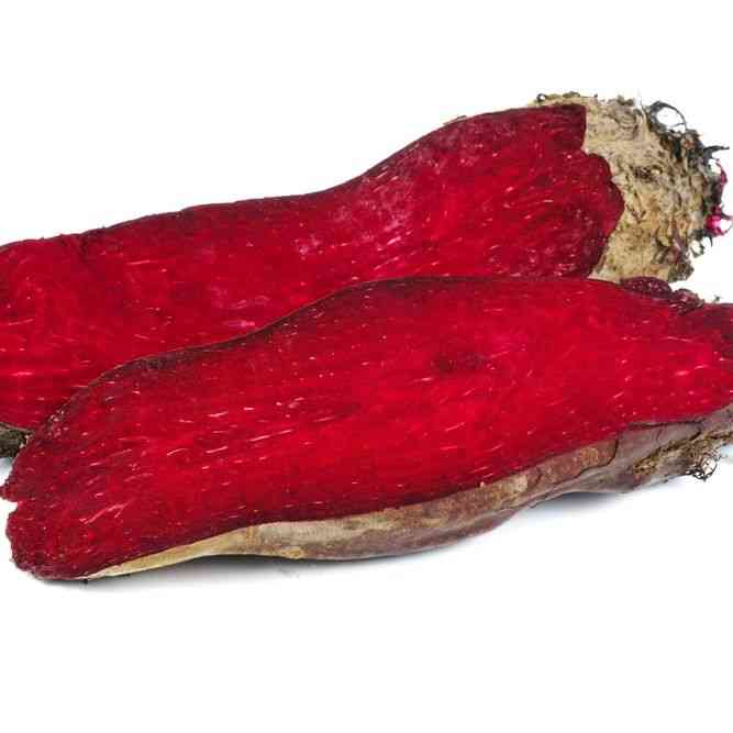 Red Mammoth Mangel
