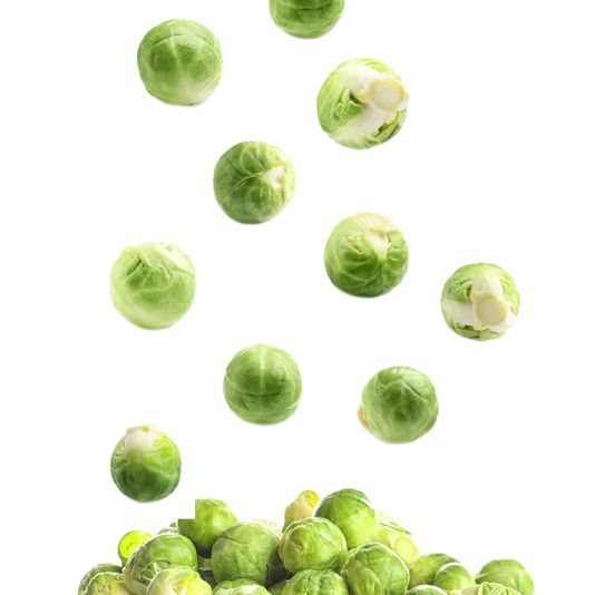 Brussels Sprout Seeds - Catskill - Alliance of Native Seedkeepers - Vegetable Seeds