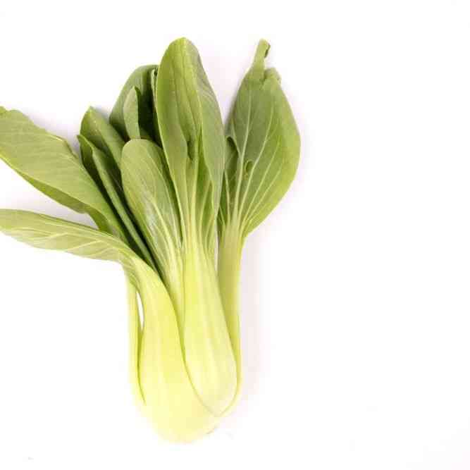 Cabbage Seeds - Pak Choi (Bok Choy) - Savoy Tatsoi - Alliance of Native Seedkeepers -