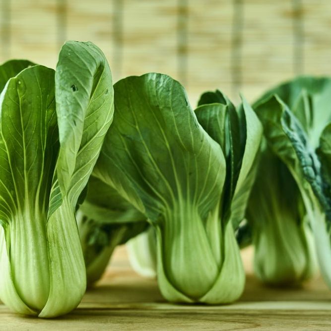 Cabbage Seeds - Pak Choi (Bok Choy) - Shanghai - Alliance of Native Seedkeepers -