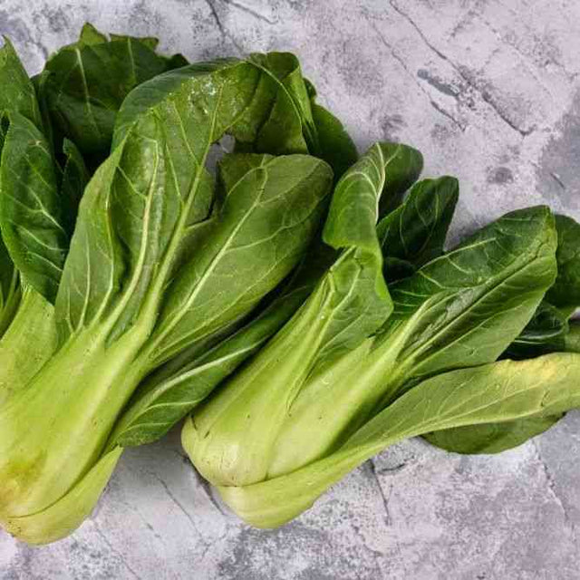 Cabbage Seeds - Pak Choi (Bok Choy) - Shanghai - Alliance of Native Seedkeepers -