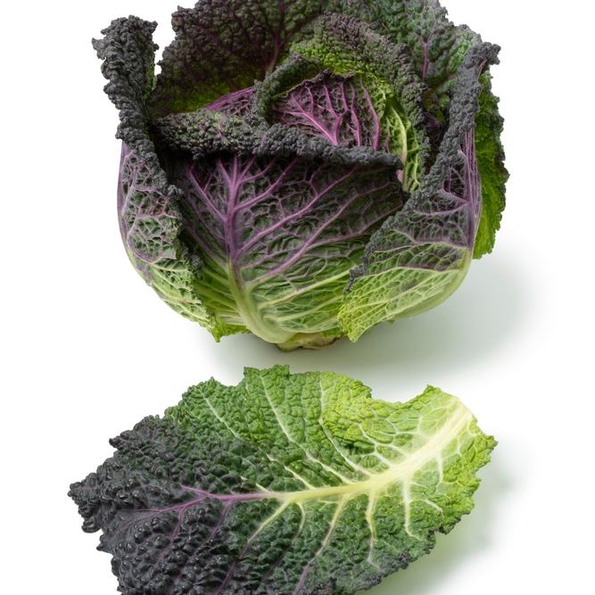 Cabbage Seeds - Purple Savoy - Alliance of Native Seedkeepers - Vegetable Seeds