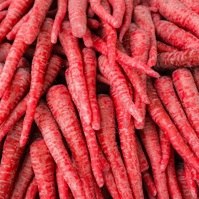 Carrot Seeds - Samurai Red - Alliance of Native Seedkeepers -