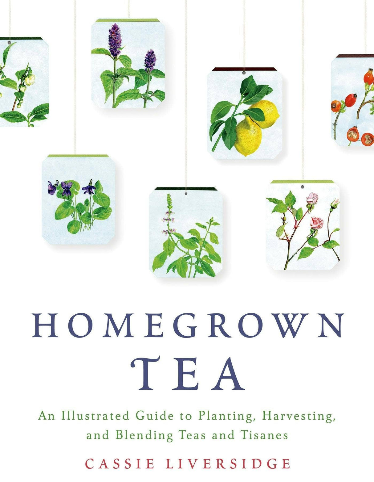 Macmillan Publishers - Homegrown Tea Guide To Planting, Harvesting & Blending Teas
