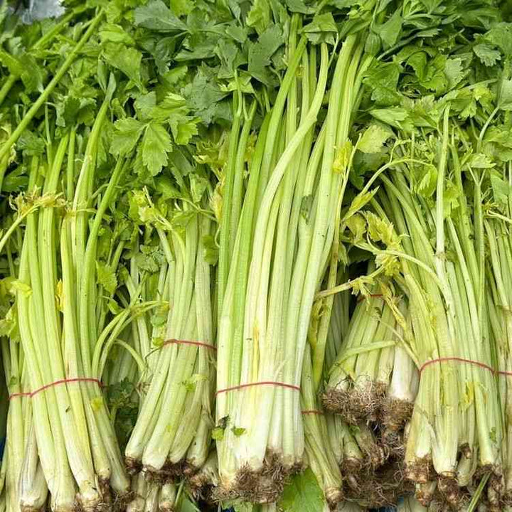 Chinese Light Green
