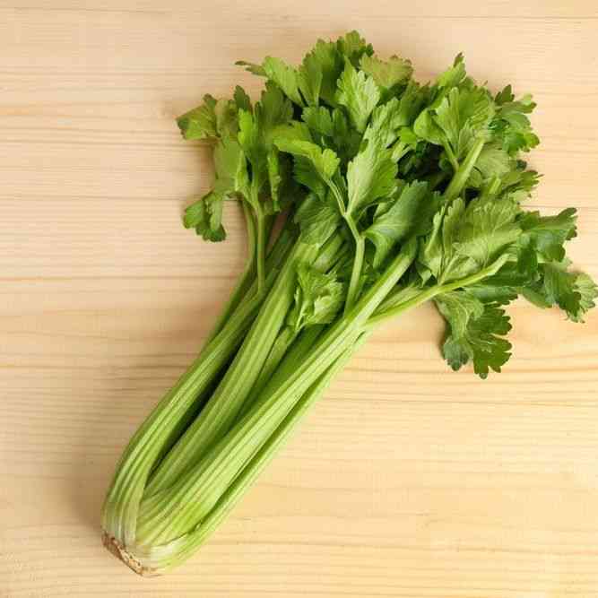 Tendercrisp Celery Seeds