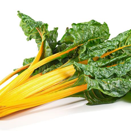 Chard Seeds - Swiss - Eldorado - Alliance of Native Seedkeepers - Vegetable Seeds