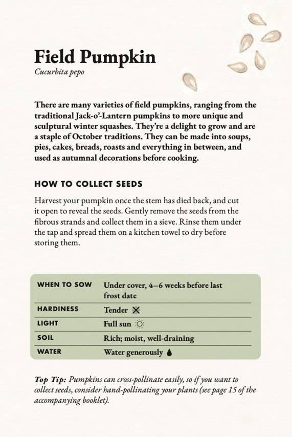 The Seed Collector's Kit
