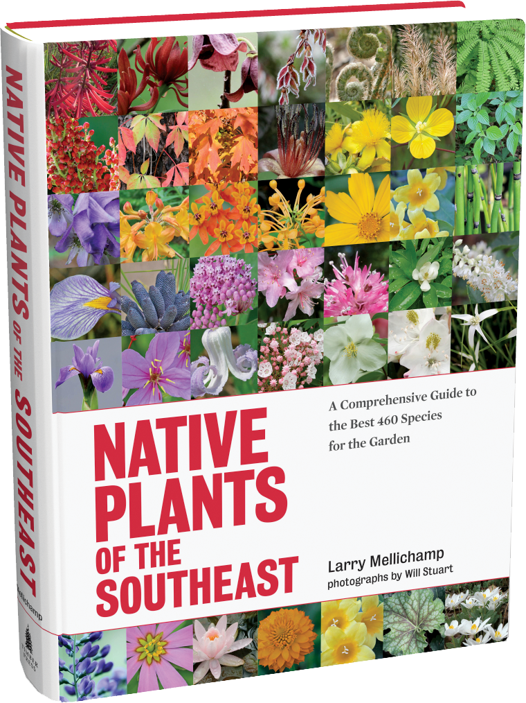 Native Plants of the Southeast