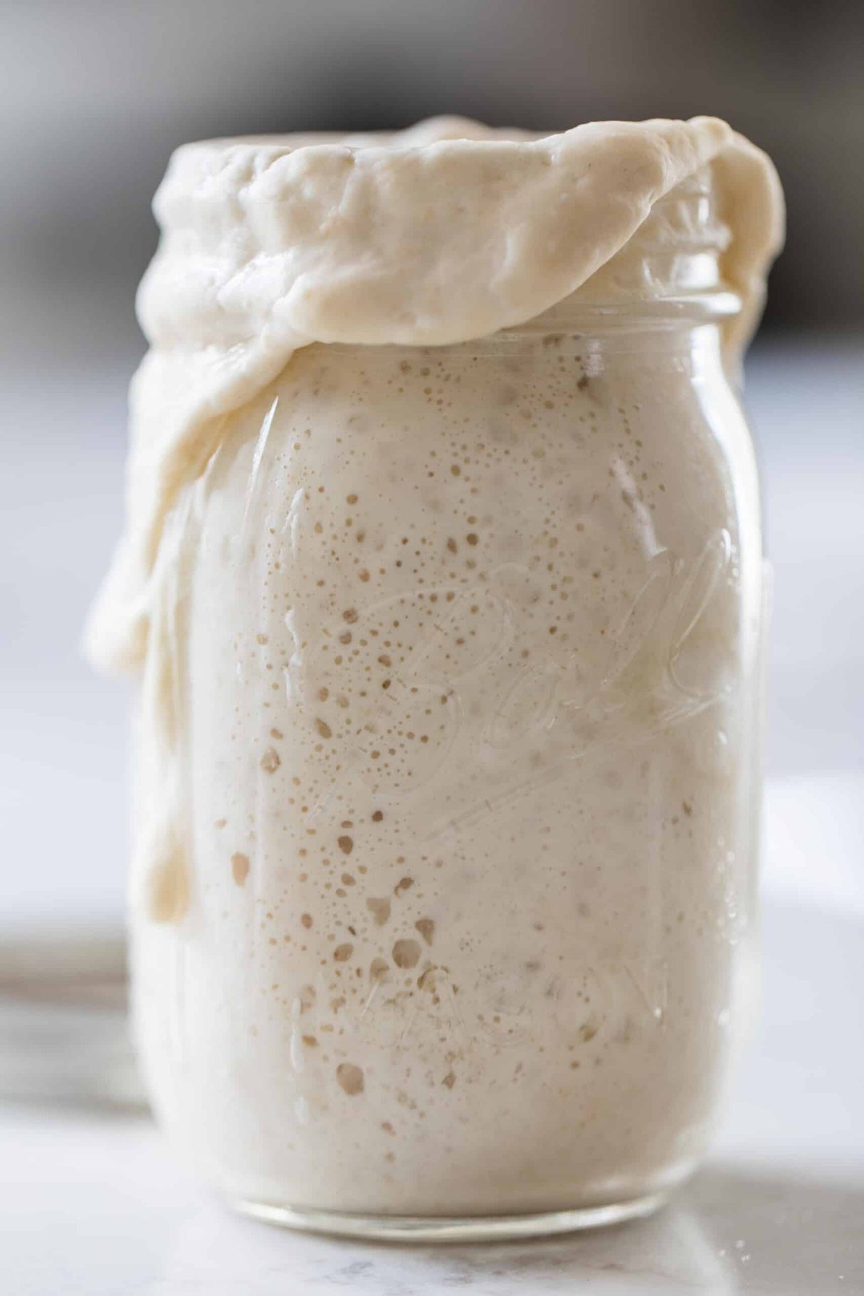 Organic, Non-GMO Sourdough Starter | Freeze Dried | 12gm