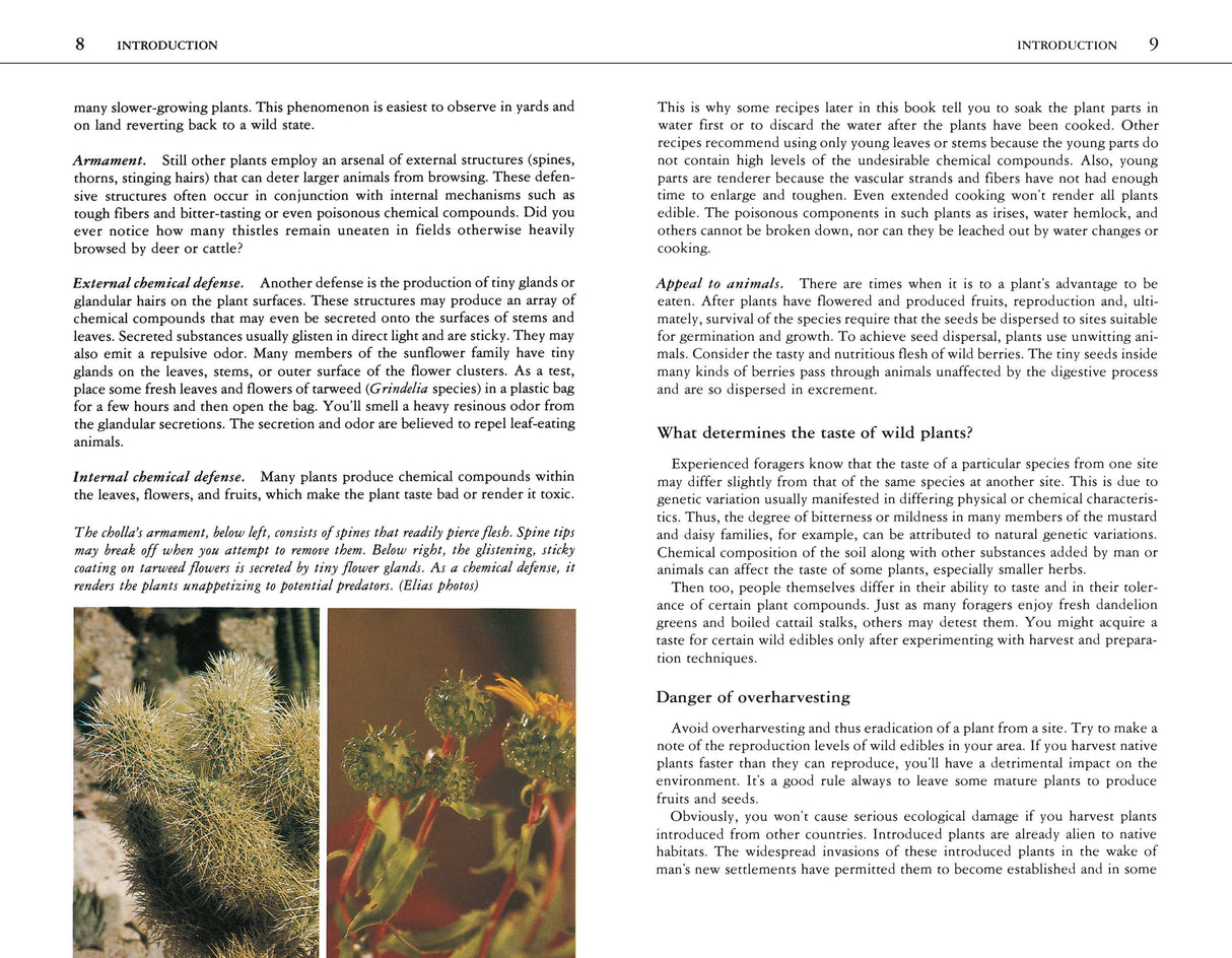 Edible Wild Plants: A North American Field Guide