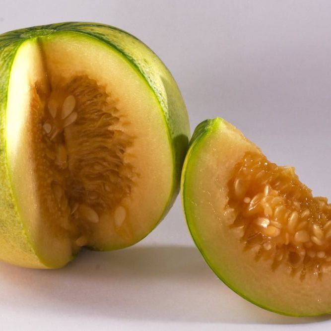 Melon - Haogen - Alliance of Native Seedkeepers -