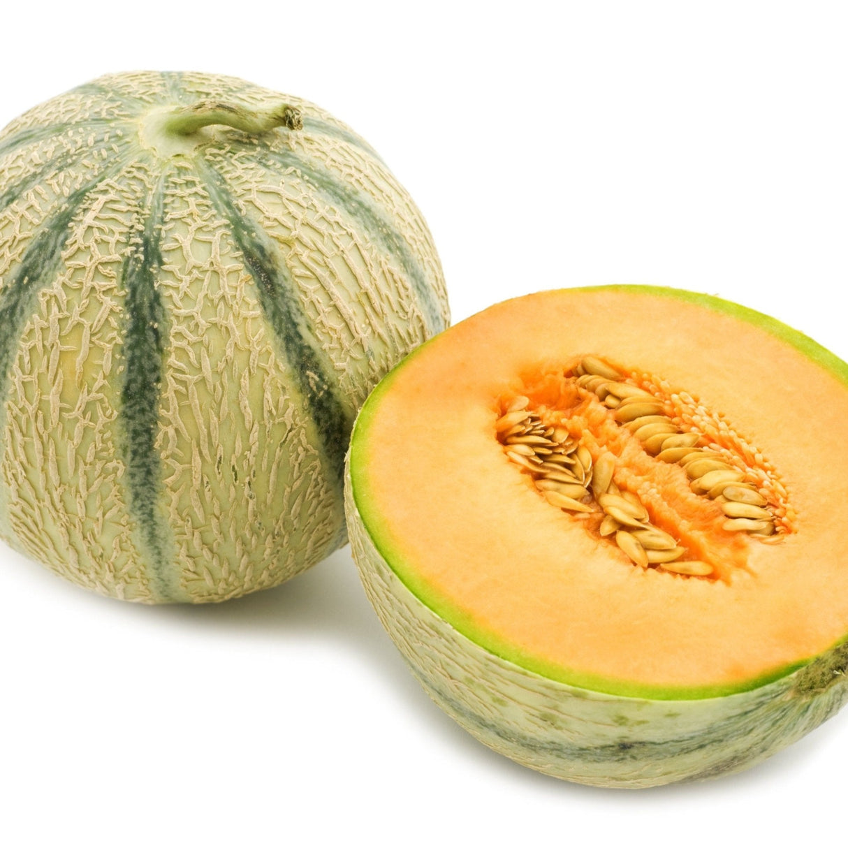 Melon Seeds - Charentais - Alliance of Native Seedkeepers - Vegetable Seeds