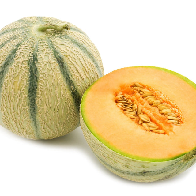 Melon Seeds - Charentais - Alliance of Native Seedkeepers - Vegetable Seeds