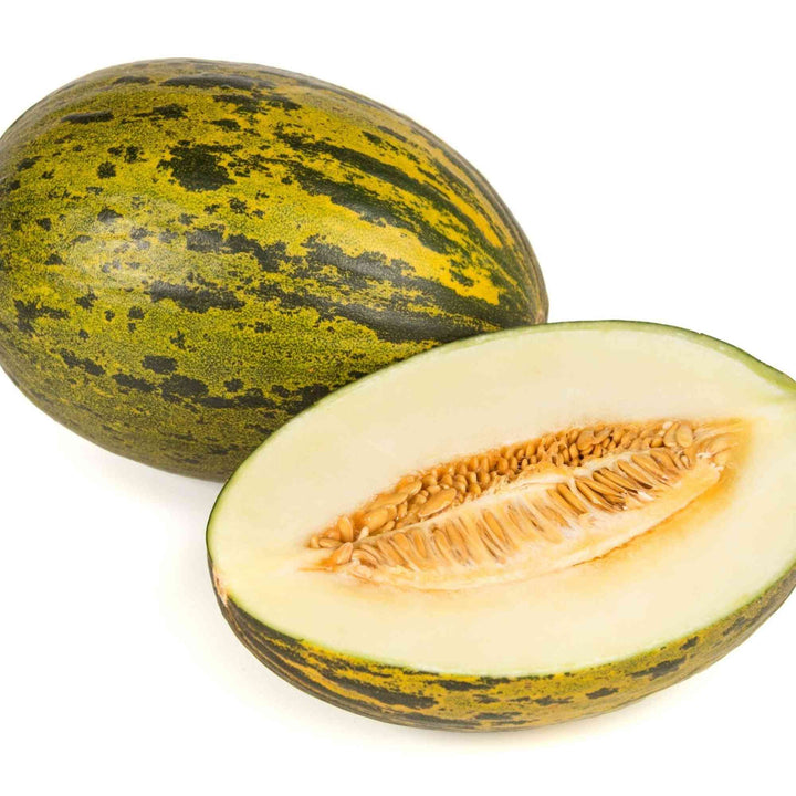 Piel de Sapo Melon Seeds