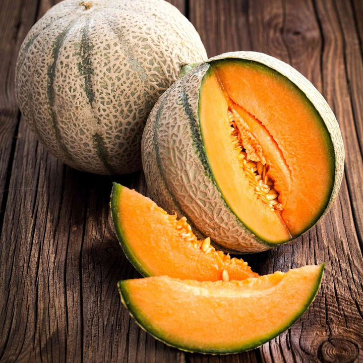 Planters Jumbo Cantaloupe Melon Seeds