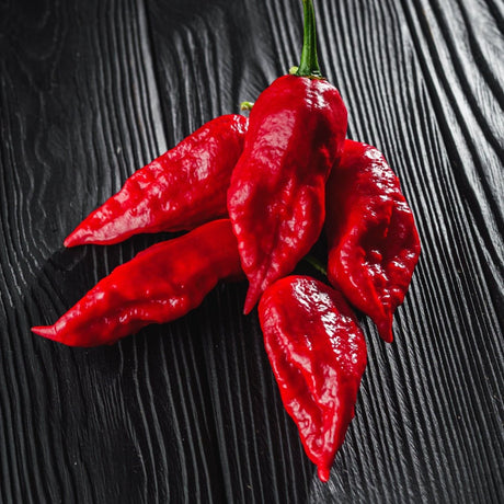 Pepper Seeds - Hot - Bhut Jolokia (Red Ghost) - Alliance of Native Seedkeepers - Vegetable Seeds