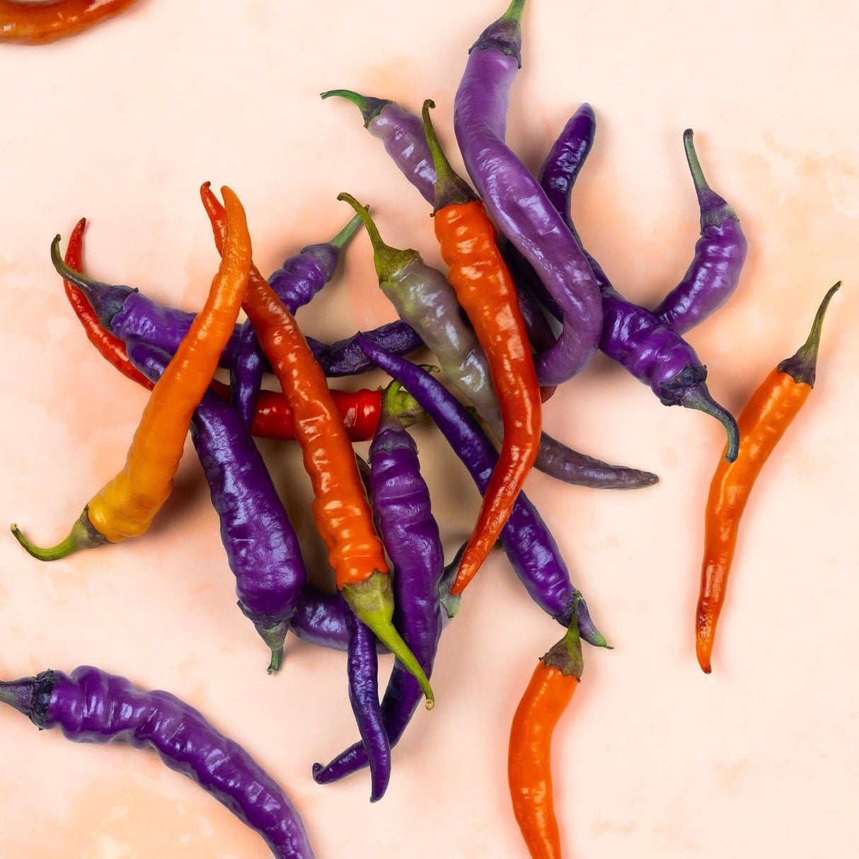 Pepper Seeds - Hot - Buena Mulata - Alliance of Native Seedkeepers - Vegetable Seeds