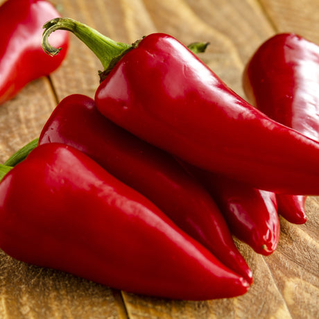 Pepper Seeds - Hot Fresno Chili Pepper - Alliance of Native Seedkeepers - Vegetable Seeds