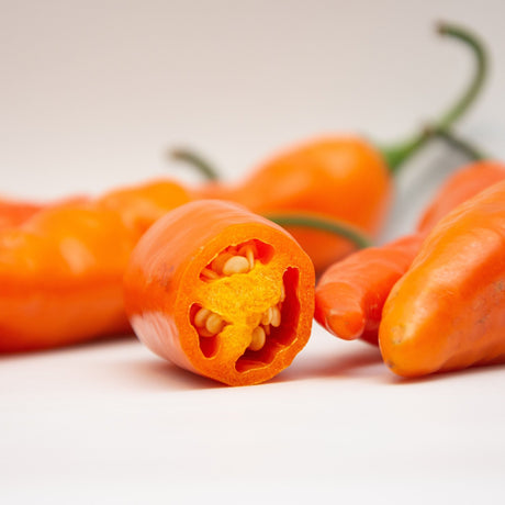 Pepper Seeds - Hot Pepper - Aji Amarillo - Alliance of Native Seedkeepers -