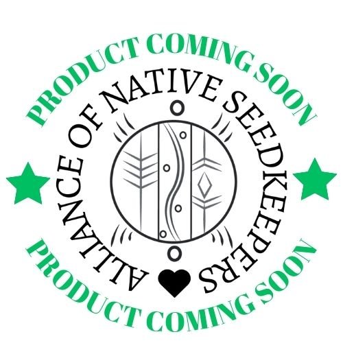 Pepper Seeds - Hot Pepper - Ají Limón - Alliance of Native Seedkeepers - Vegetable Seeds