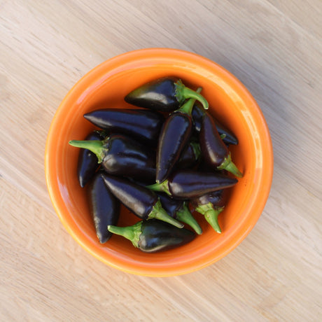 Pepper Seeds - Hot Pepper - Black Hungarian Jalapeño - Alliance of Native Seedkeepers - Vegetable Seeds