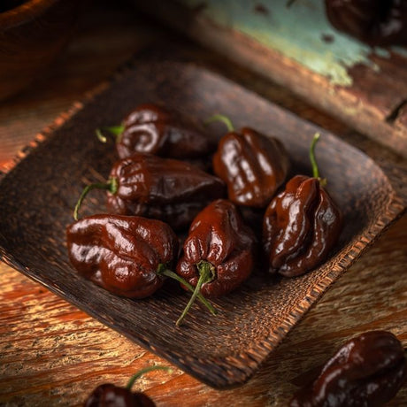Pepper Seeds - Hot Pepper - Chocolate Habanero (Black Congo) - Alliance of Native Seedkeepers - Vegetable Seeds
