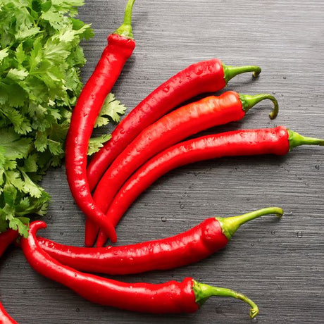 Pepper Seeds - Hot Pepper - Cowhorn Cayenne - Alliance of Native Seedkeepers - Vegetable Seeds