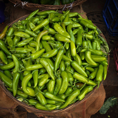 Pepper Seeds - Hot Pepper - NuMex Big Jim - Alliance of Native Seedkeepers - Vegetable Seeds