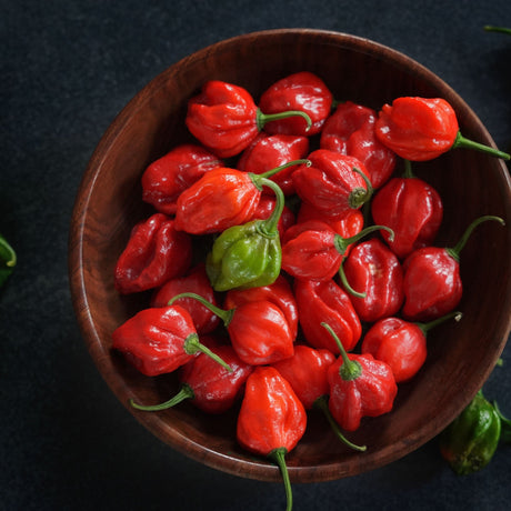 Pepper Seeds - Hot Pepper - Scotch Bonnet Red - Alliance of Native Seedkeepers - Vegetable Seeds