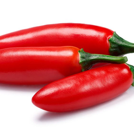 Pepper Seeds - Hot Pepper - Serrano Tampiqueño - Alliance of Native Seedkeepers - Vegetable Seeds