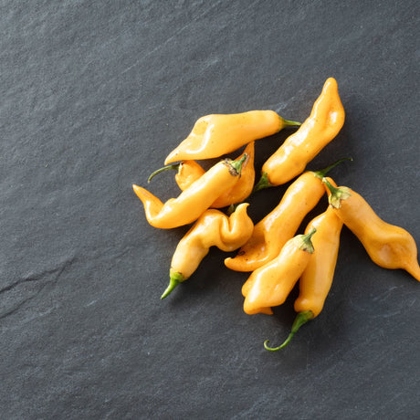 Pepper Seeds - Hot Pepper - Sugar Rush Peach - Alliance of Native Seedkeepers - Vegetable Seeds