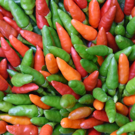 Pepper Seeds - Hot Pepper - Thai Bird’s Eye (Prik Kee Noo) - Alliance of Native Seedkeepers - Vegetable Seeds