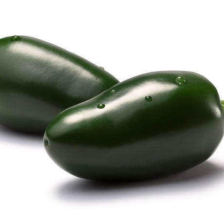 Pepper Seeds - Hot - Tam Jalapeño - Alliance of Native Seedkeepers - Vegetable Seeds