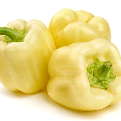 Pepper Seeds - Sweet - Diamond Bell - Alliance of Native Seedkeepers - Vegetable Seeds